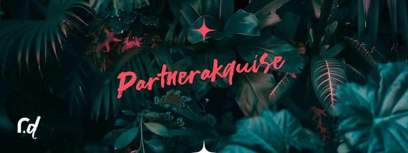 Beitragsbild zu Partnerakquise